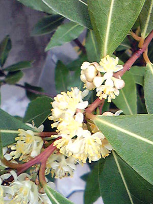 f0083977_21393447.jpg