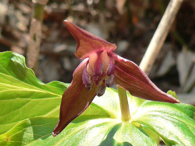 f0083977_2213248.jpg