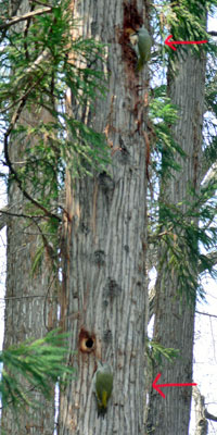 f0083977_23114847.jpg