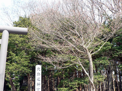 f0083977_23855100.jpg