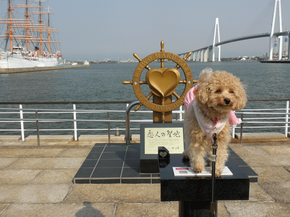 b0098881_22185089.gif