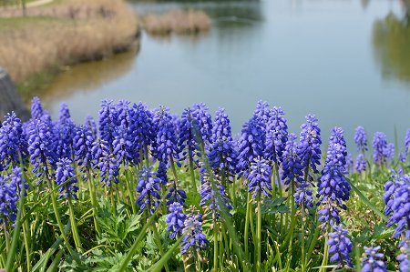 c0229483_0122520.jpg