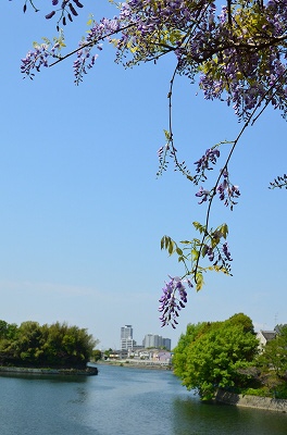 c0229483_094675.jpg