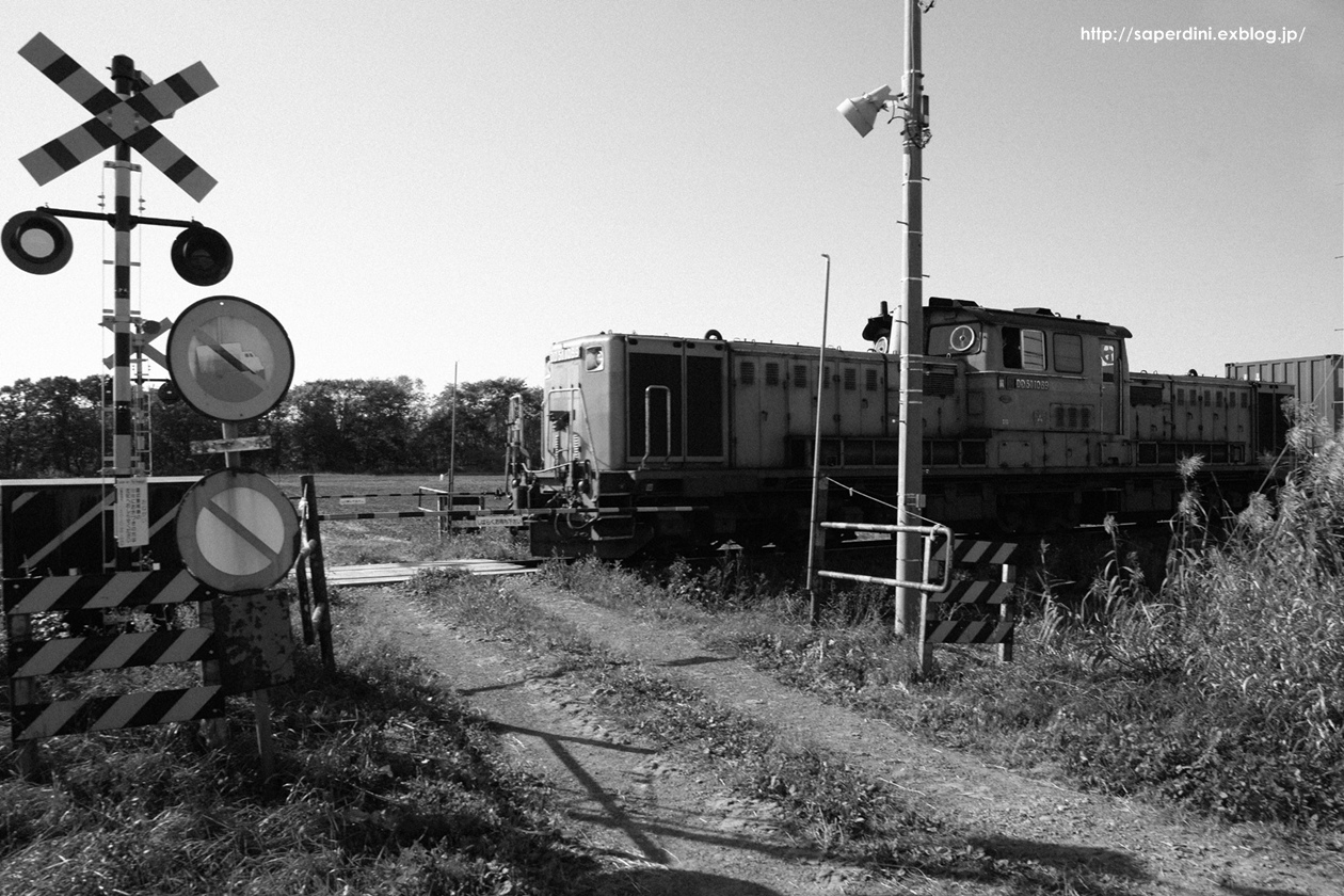 f0242684_93811.jpg