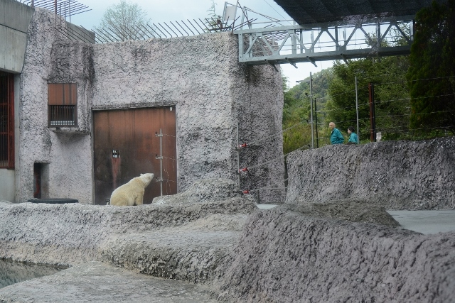 ２０１４年４月　ほぼ毎月とくしま動物園　その３ ポロロにお魚プレゼント_a0052986_22805.jpg