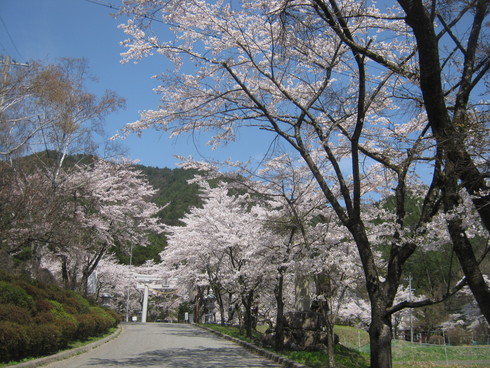 a0034487_204264.jpg