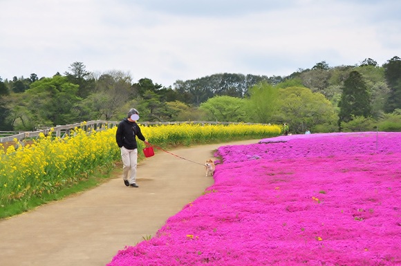 頑張ってます_a0126590_23541093.jpg