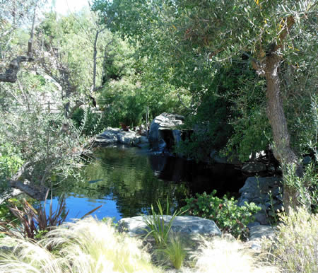 e0161692_683310.jpg