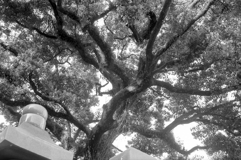 f0161595_1321098.jpg