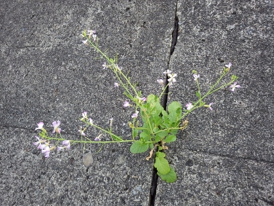 a0125598_20511471.jpg