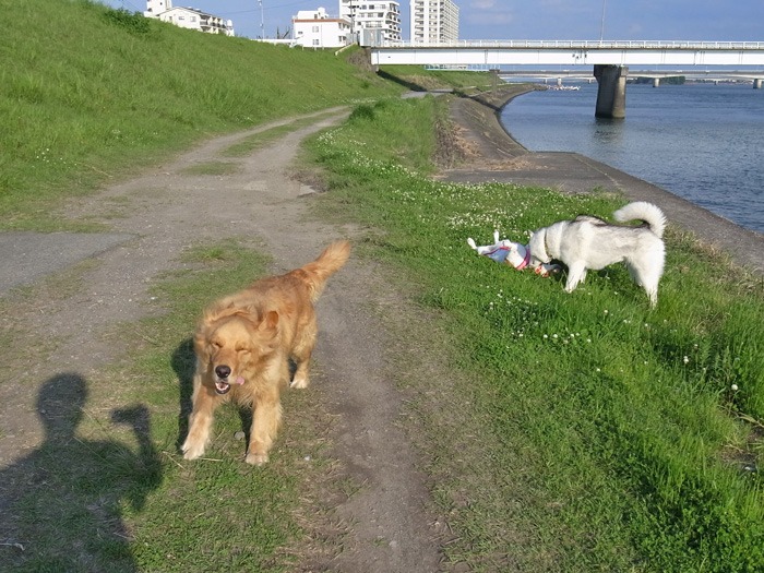 c0049299_225735.jpg