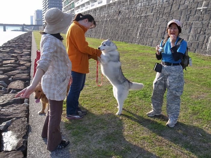 c0049299_2322737.jpg