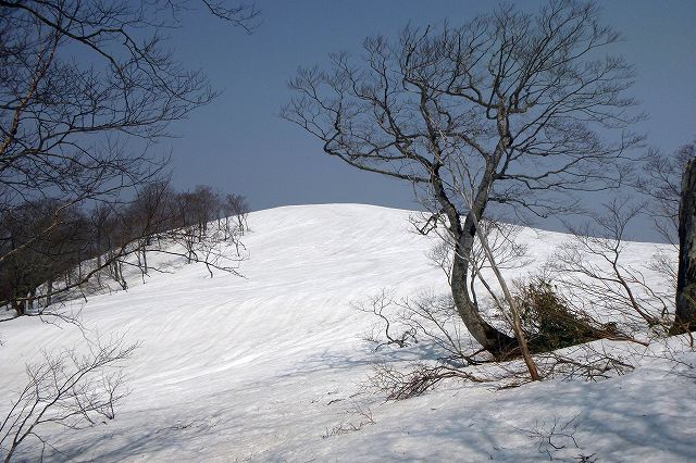 高倉山は肘折の名山_e0137200_18525613.jpg