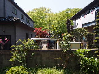 c0039501_16224.jpg
