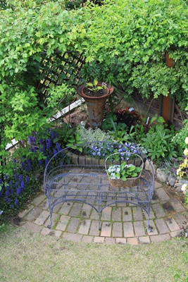 a0123003_221598.jpg