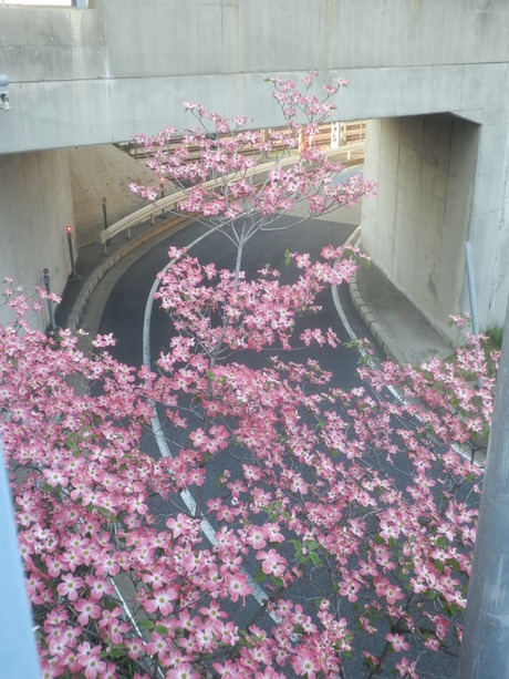 c0062511_21402644.jpg