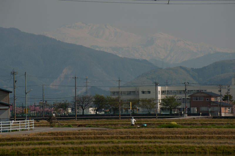 a0278914_1657331.jpg