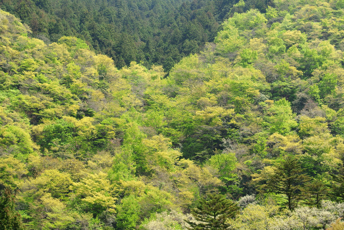 d0327814_10141416.jpg