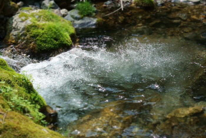 d0327814_10285172.jpg