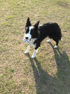 a0232619_17565121.gif