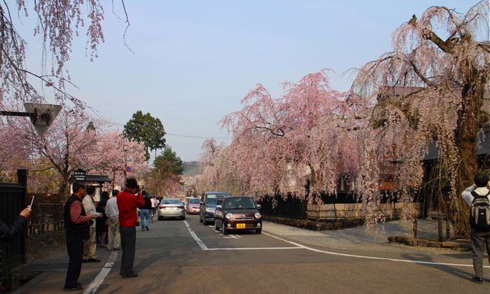 角館のお花見（2014.04.27 SUN.）_b0226219_15755.jpg