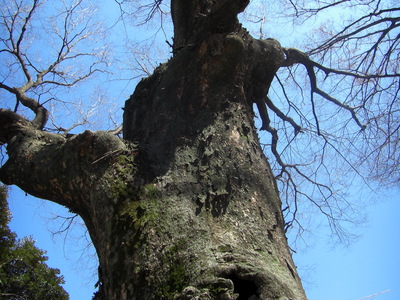 c0074721_161751.jpg