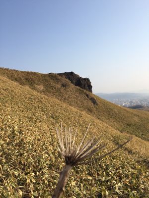 f0147821_0122623.jpg