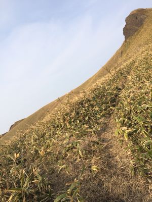 f0147821_21172134.jpg