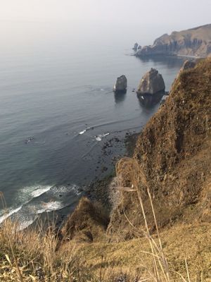 f0147821_2117221.jpg