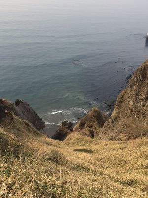 f0147821_21172318.jpg
