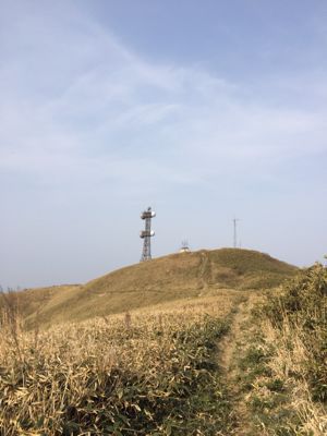 f0147821_2117284.jpg