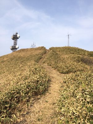 f0147821_21172989.jpg