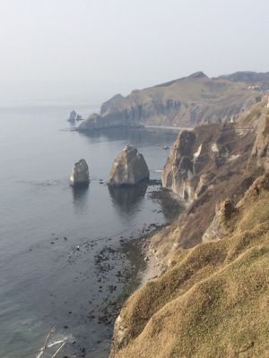f0147821_21173453.jpg