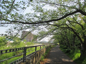 f0147922_93995.jpg
