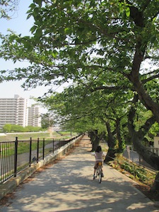 f0147922_9401965.jpg