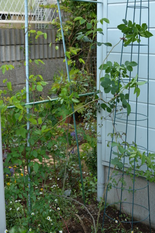 e0335926_23575319.jpg