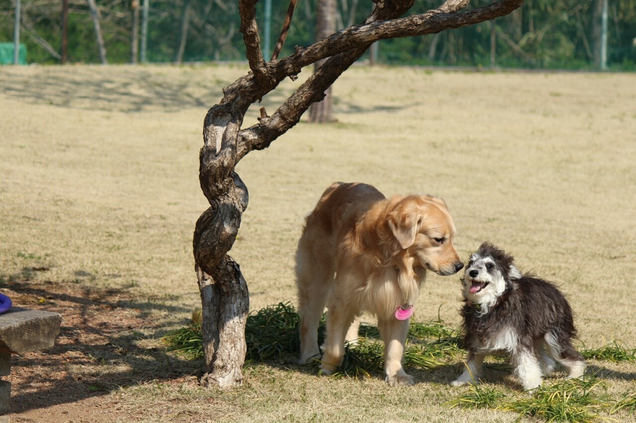 中年と幼児_f0176830_202255.jpg