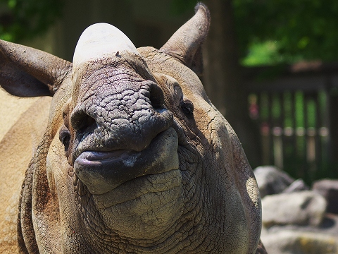 動物園撮影会_c0077531_002499.jpg