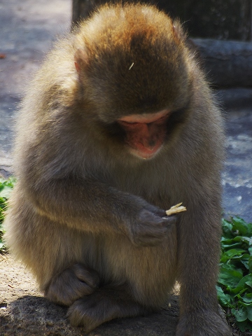 動物園撮影会_c0077531_0353390.jpg