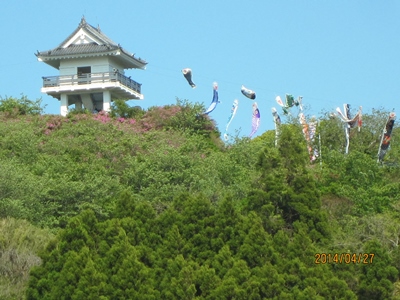 田植後の「補植」を行いました_a0123836_1694984.jpg