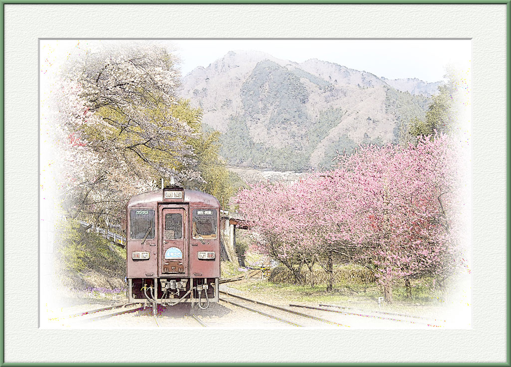 春の花２０１４（８）　わたらせ渓谷鉄道の桜と桃　２_f0160440_11493611.jpg