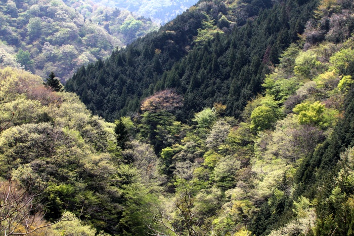 c0269342_14311879.jpg