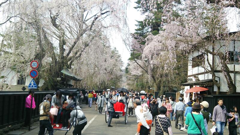 桜が満開_f0081443_2061831.jpg