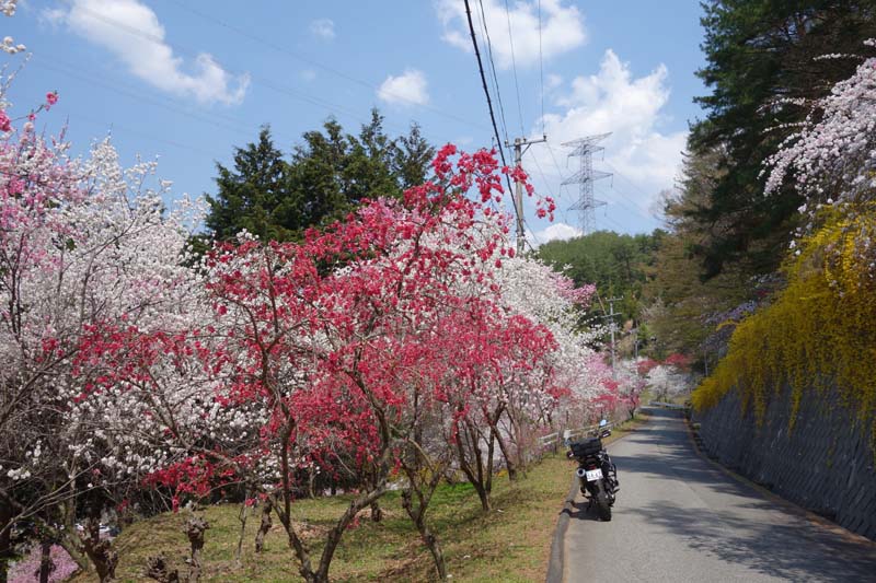 駒ヶ根周辺里山ぶらり_b0325549_21141654.jpg