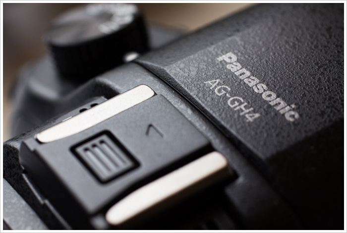 DMC-GH4にあらずAG-GH4 レビュー : エクランの撮影日記 DMC-GH4にあらずAG-GH4 レビュー : エクランの撮影日記