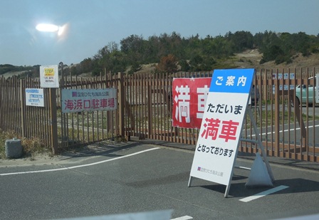 ひたち海浜公園入場券付　一日フリーパス_e0246154_15143668.jpg