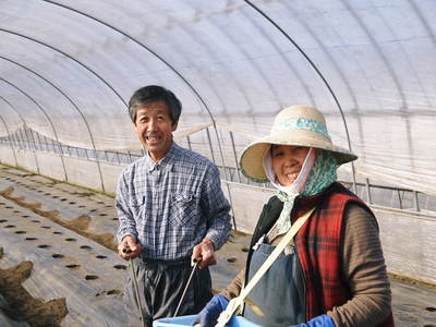 リンゴの花と株式会社旬援隊の敷地内の様子_a0254656_19481453.jpg