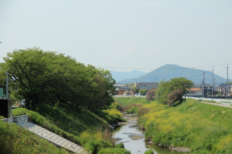 c0272958_23535853.jpg