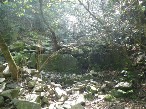 b0228959_16152196.jpg