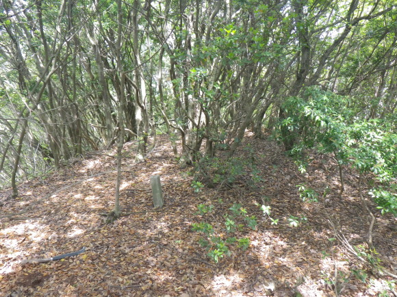 b0228959_16425419.jpg
